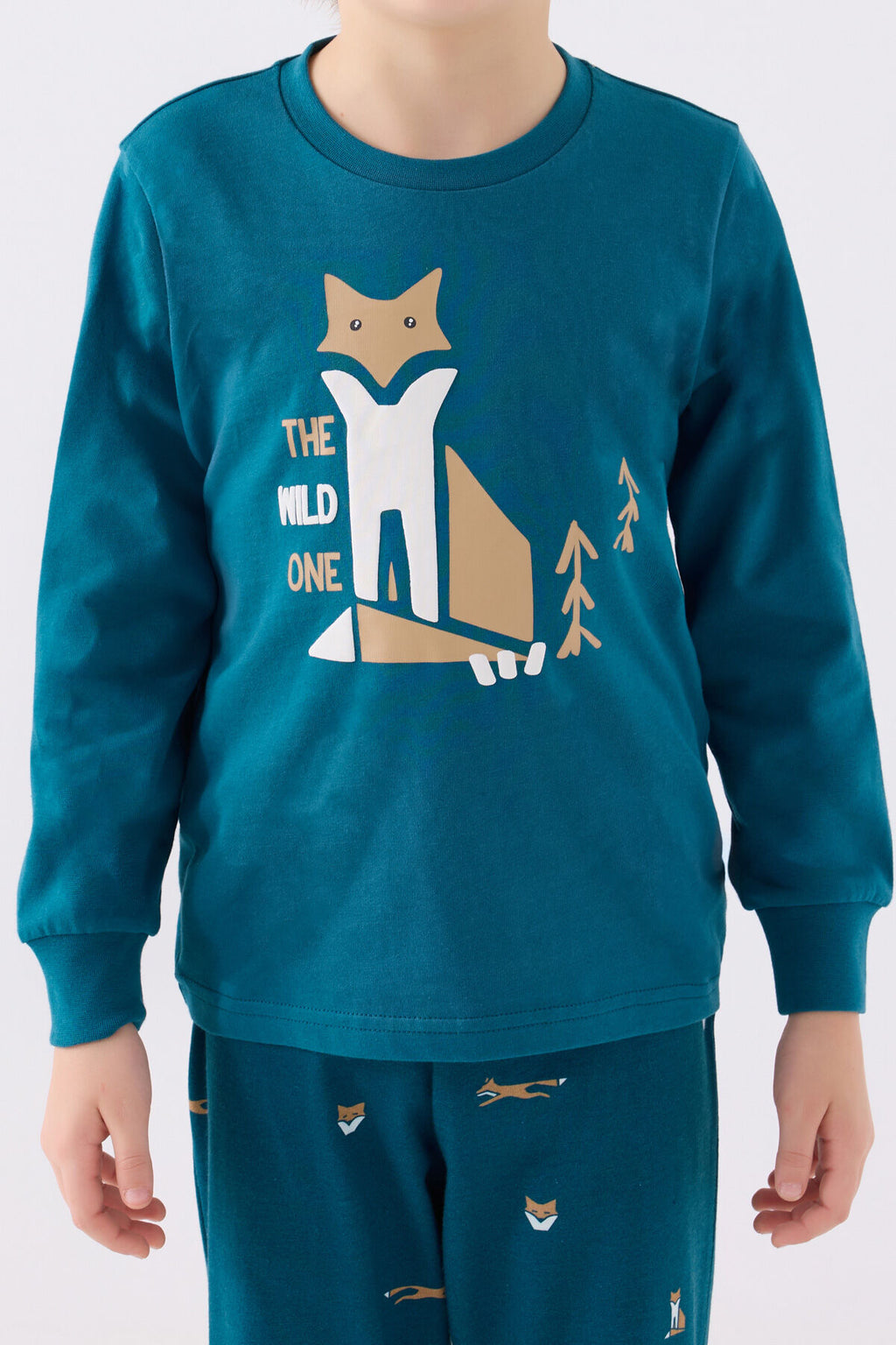 Rolypoly Erkek Çocuk Bisiklet Yaka Pigment Baskılı Kışlık Regular Fit Mavi Pijama Takımı RP3432-C-V2