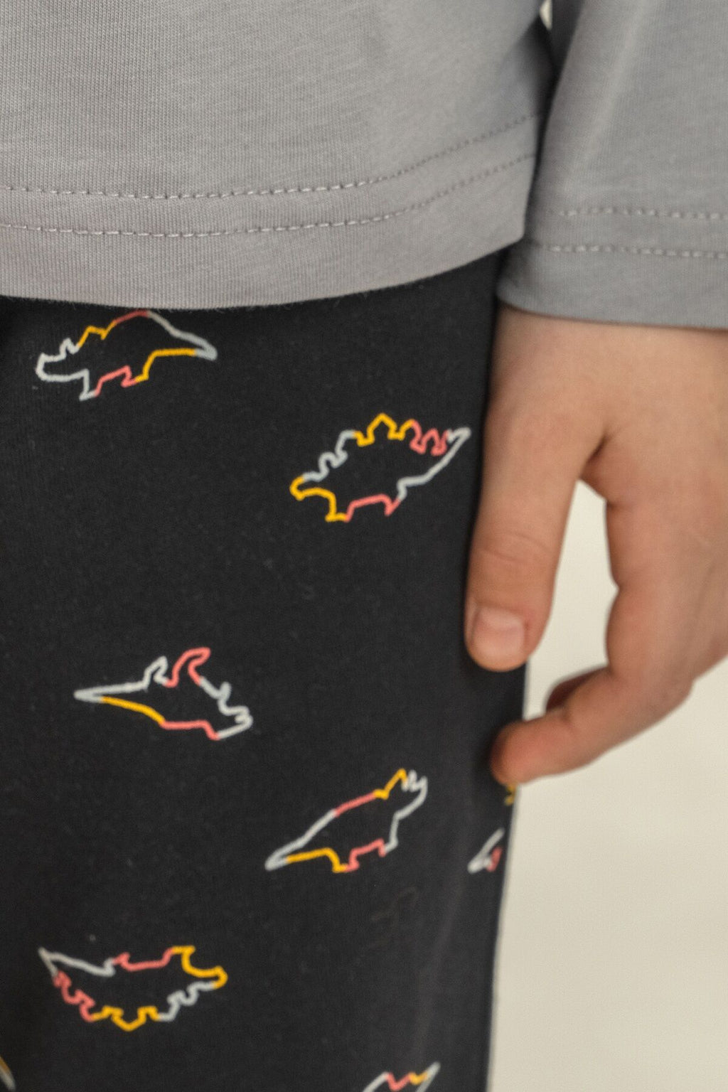 Rolypoly Erkek Çocuk Wildlife Gri Uzun Kol Pijama Takım RP3866-C-V2