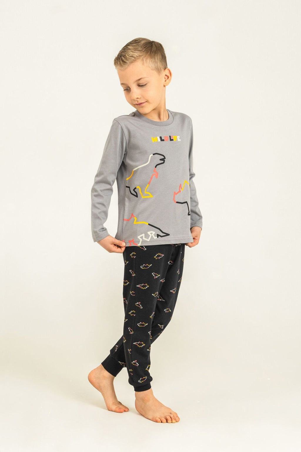 Rolypoly Erkek Çocuk Wildlife Gri Uzun Kol Pijama Takım RP3866-C-V2
