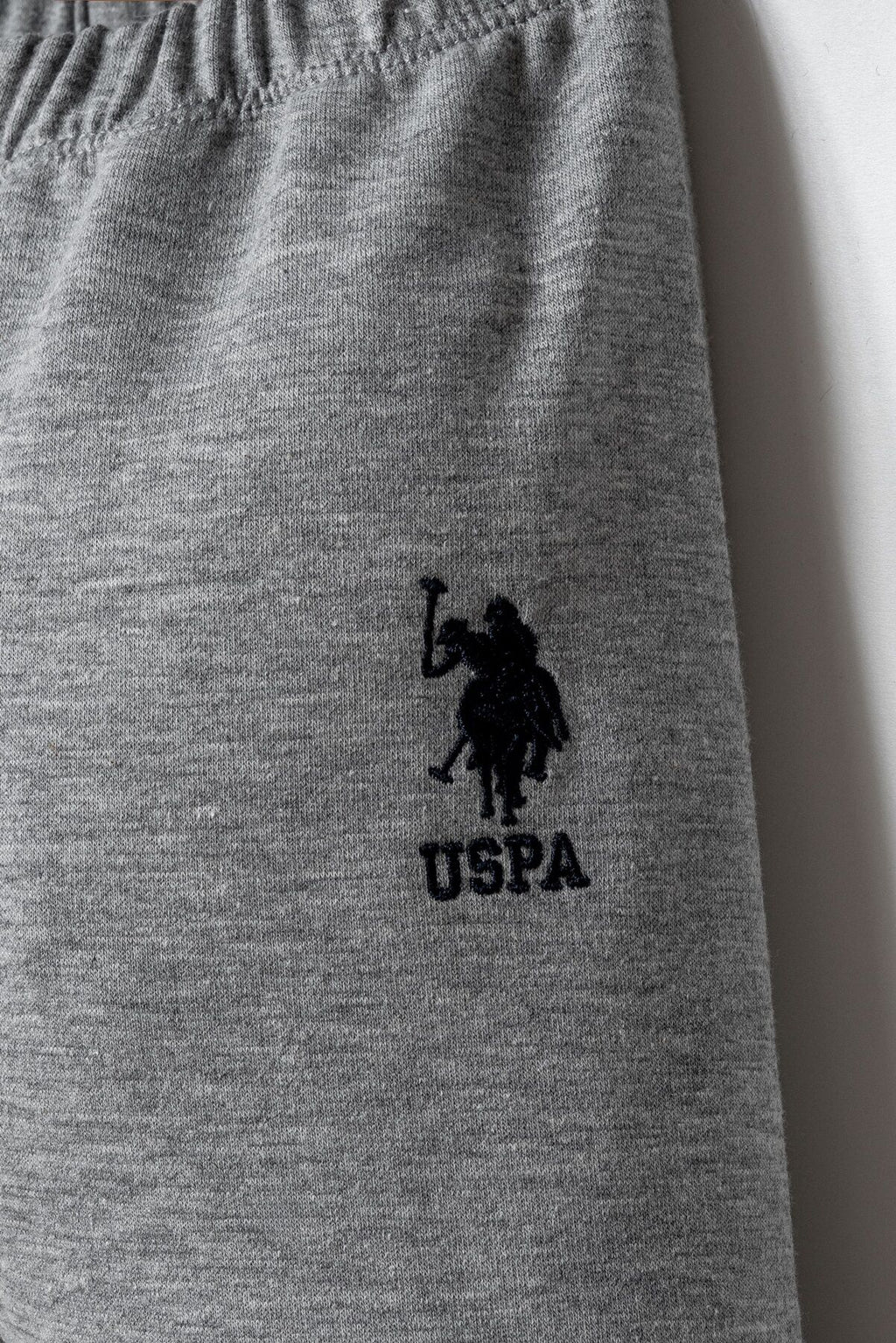 U.S. Polo Assn. Erkek Bebek Fermuarlı Yaka Nakışlı Yazlık Regular Fit Gri 3'Lü Bebek Takımı USB2875-C-V1