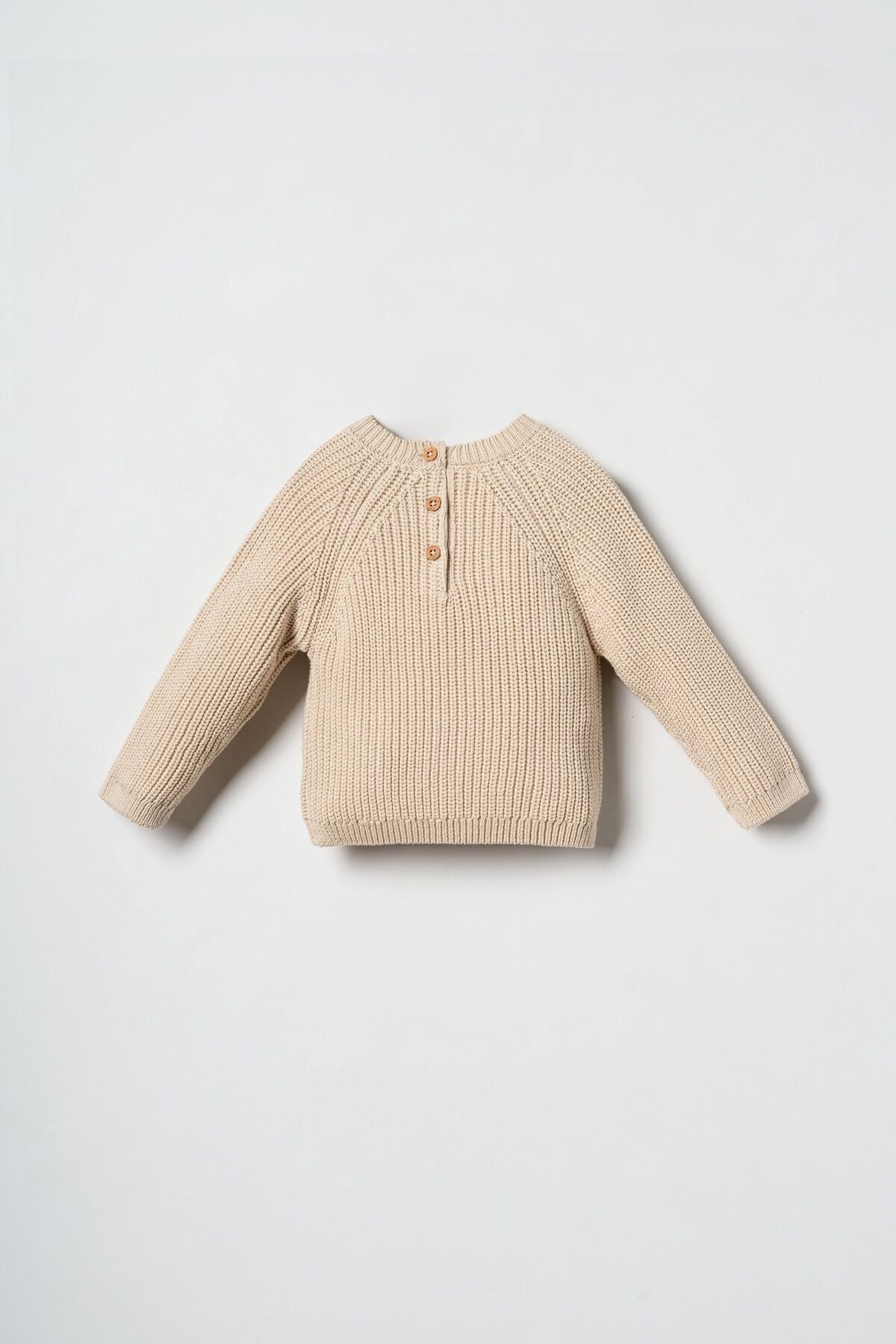 U.S. Polo Assn. Erkek Bebek Nakışlı Krem Sweatshirt USB3118-C-V1