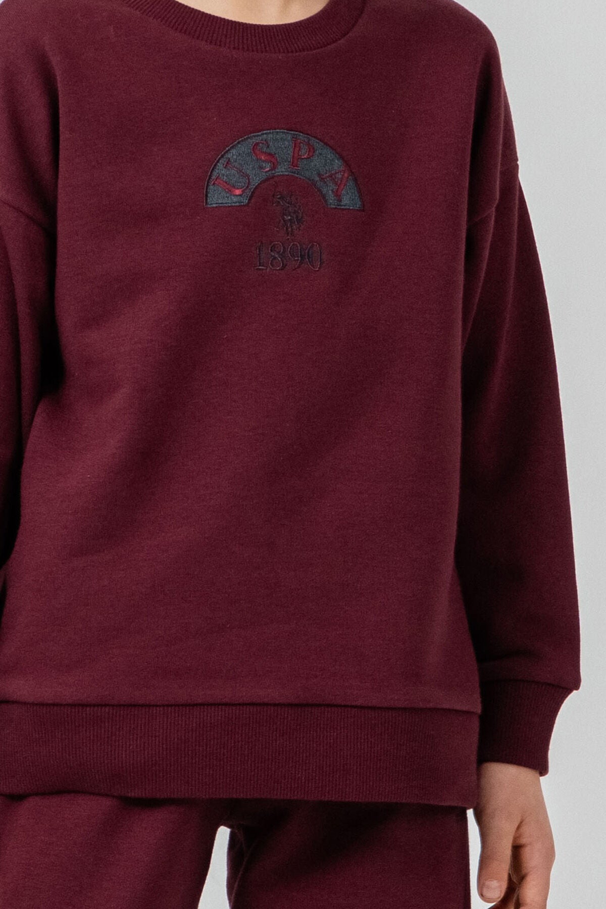 U.S. Polo Assn. Erkek Çocuk Nakışlı Mor Uzun Kol Eşofman Takımı US2631-C-V2