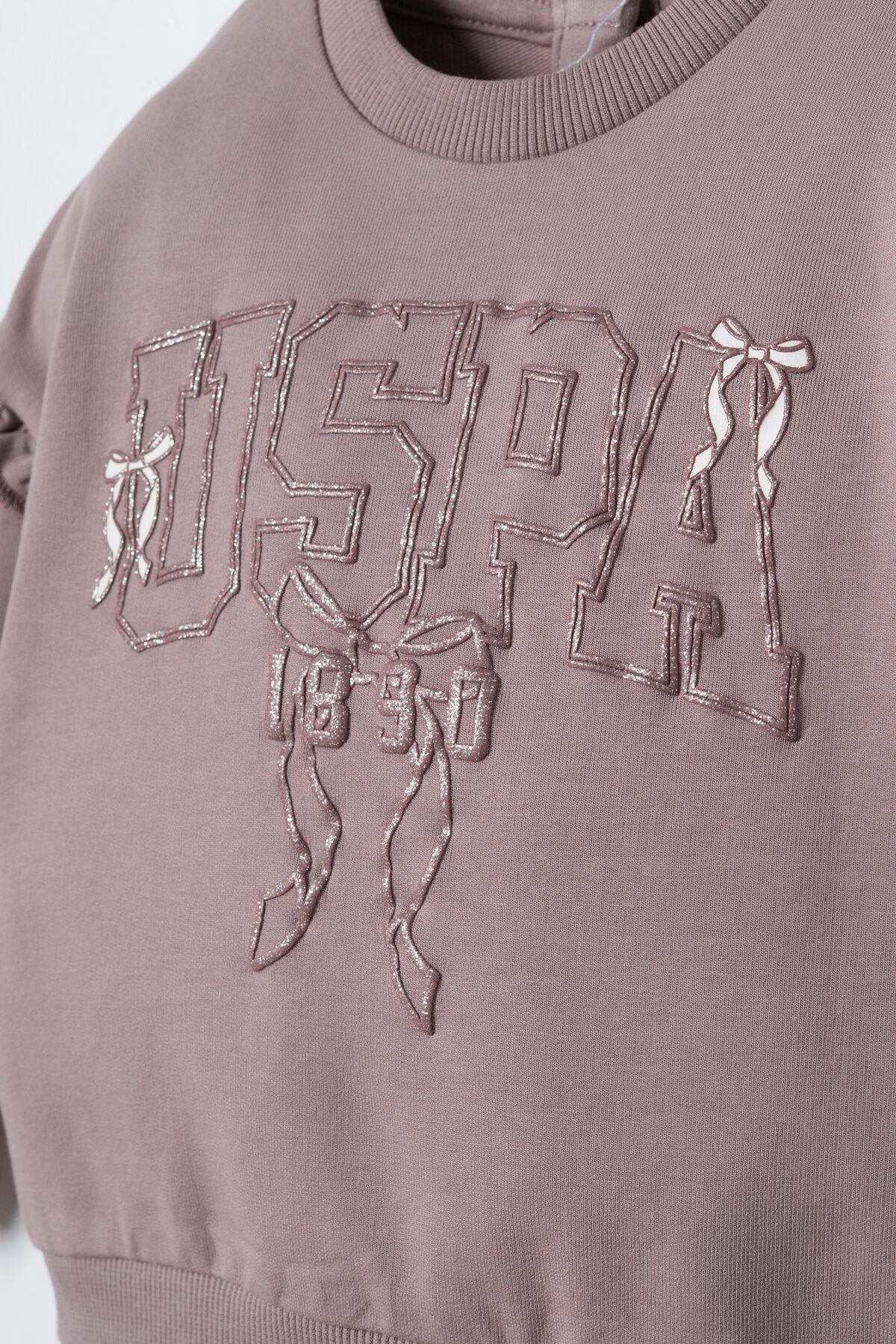 U.S. Polo Assn. Nakışlı Kız Bebek Mor Uzun Kol Pijama Takım USB3219-C-V1